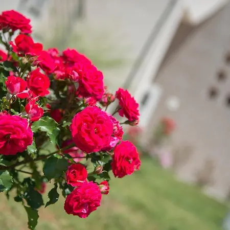 Appartement Luxury Sirens Fresh