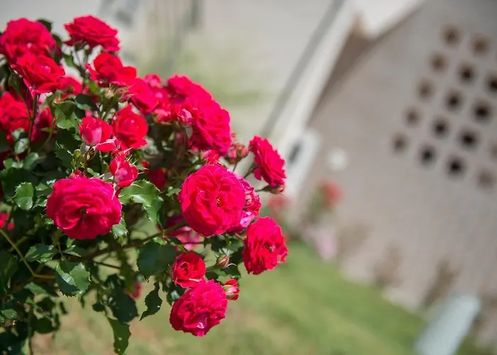 Lejlighed Luxury Sirens Fresh